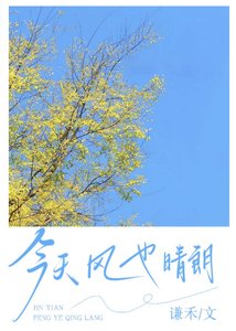 今天,风也晴朗